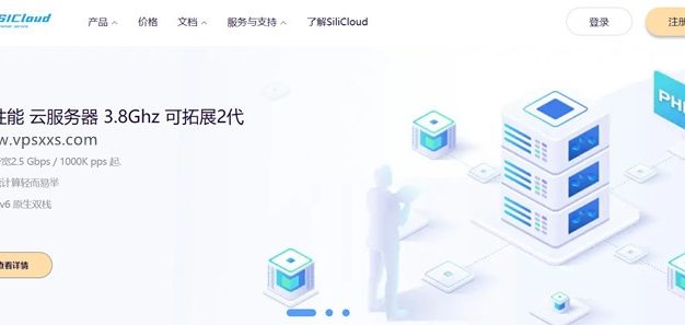 SiliCloud美国CN2/日本CN2+9299 VPS迷你套餐：22.35美元/2年起，支持支付宝/Paypal