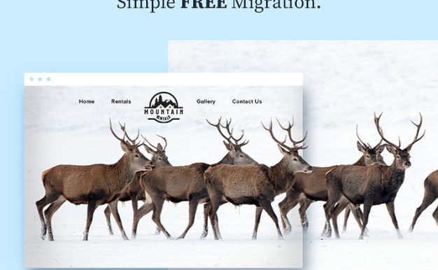 BlueHost建站实战测评：它真是“新手之光”还是“过气网红”？