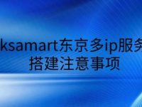 跨境电商利器：东京多IP服务器精准部署与运营避坑指南