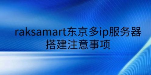 跨境电商利器：东京多IP服务器精准部署与运营避坑指南