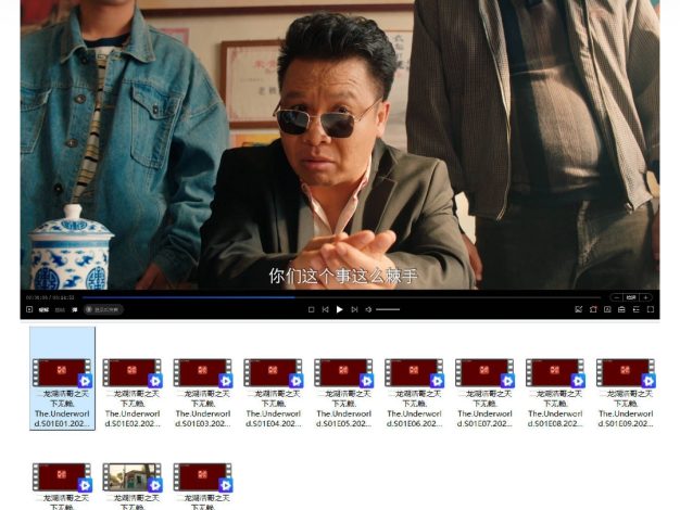 二龙湖浩哥之天下无赖 全24集 4K-2160P